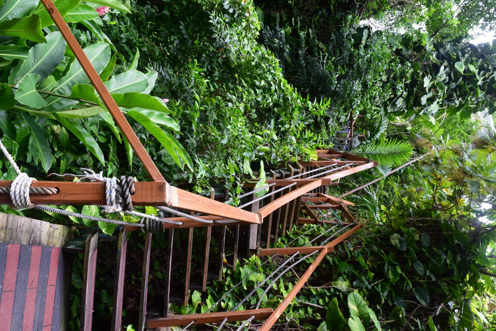 Konoko Falls and Gardens